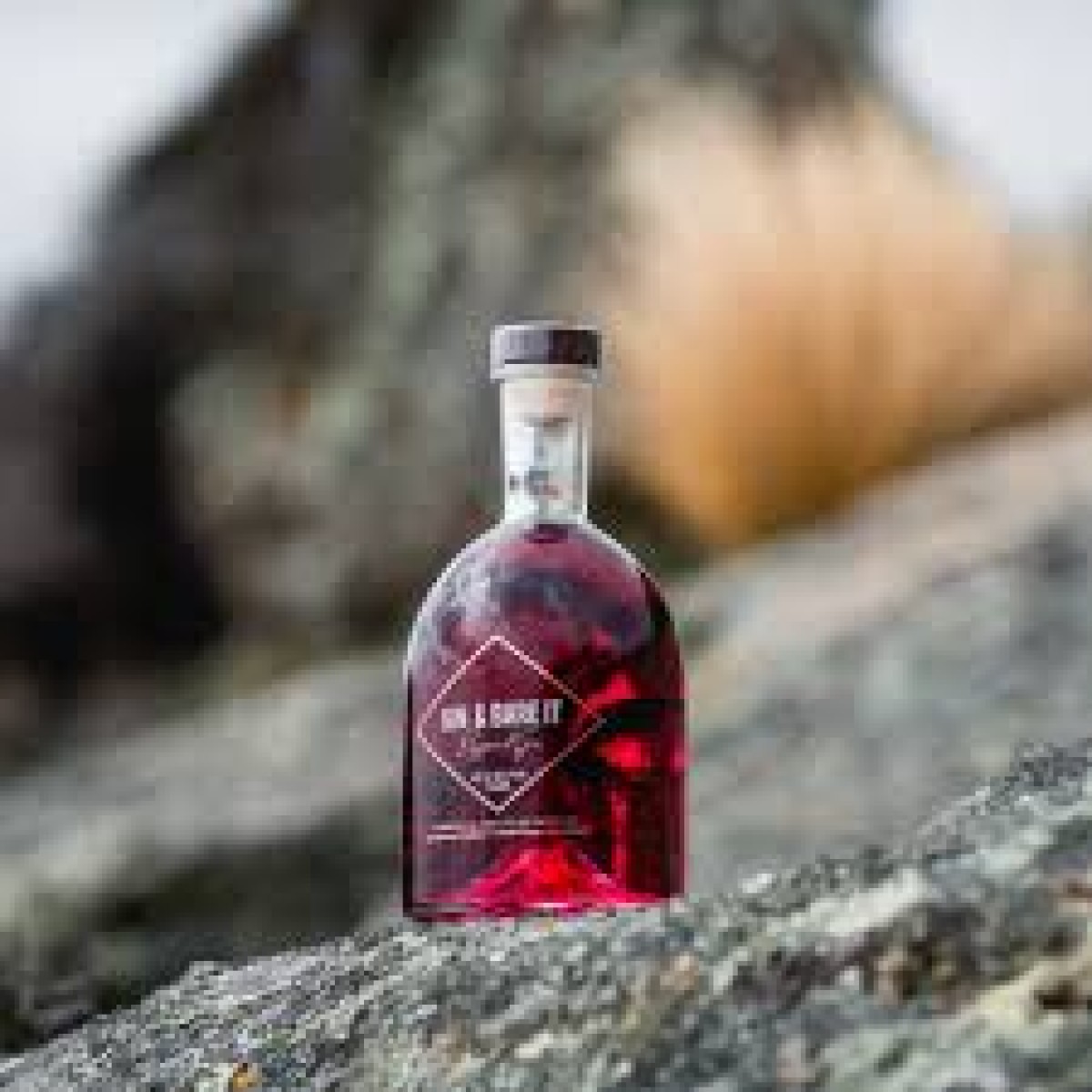 Gin & Bare It Sloe Gin