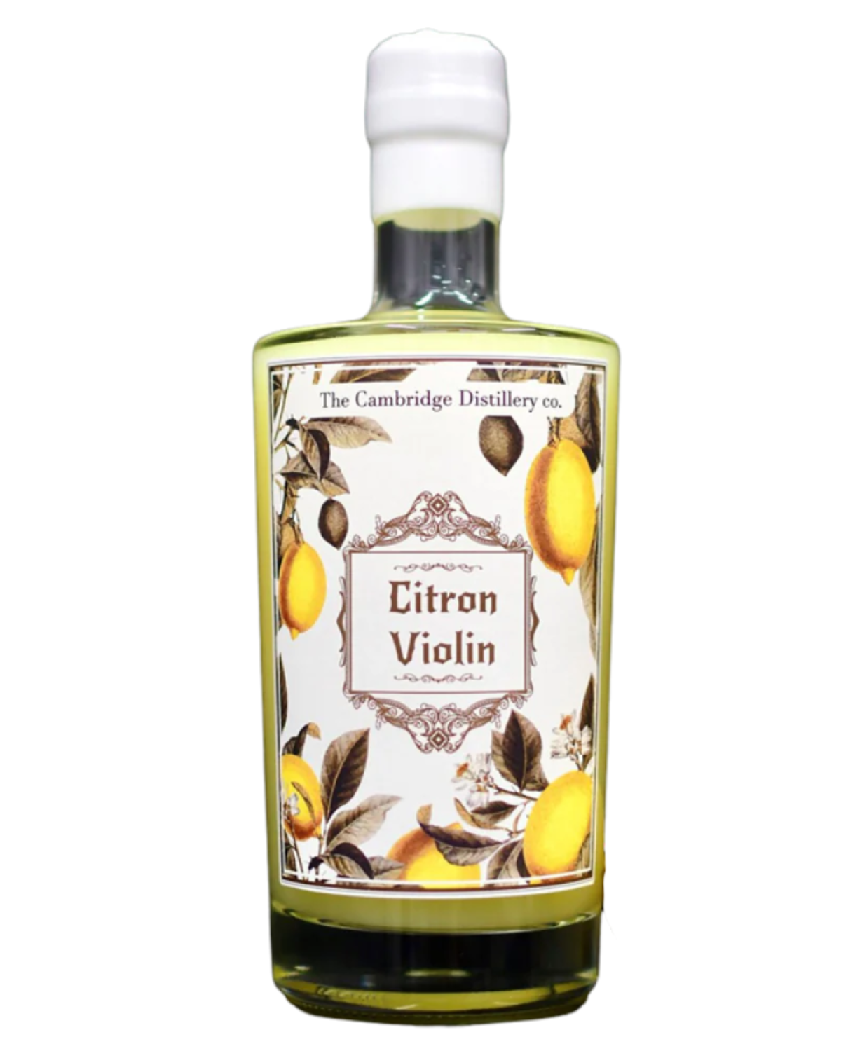Citron Violin Limoncello