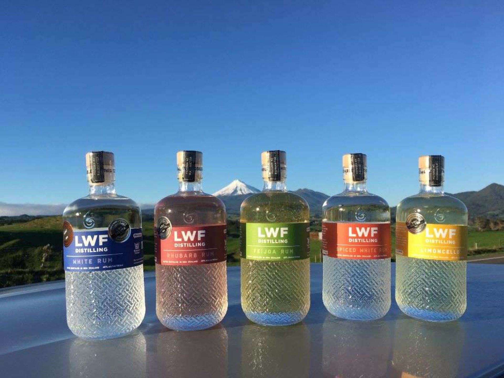 LWF Distilling
