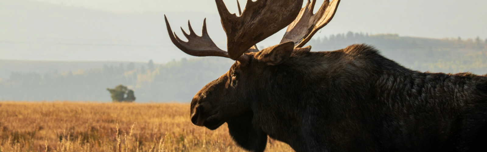 Herrick Creek Distillery