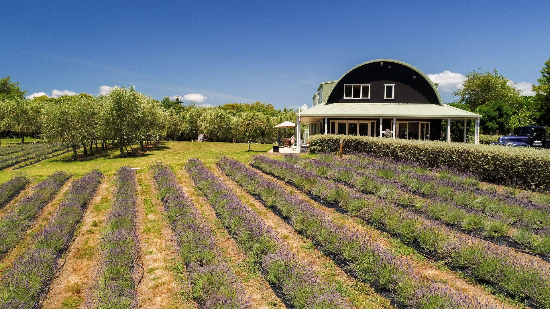 Lavender Hill Distillery