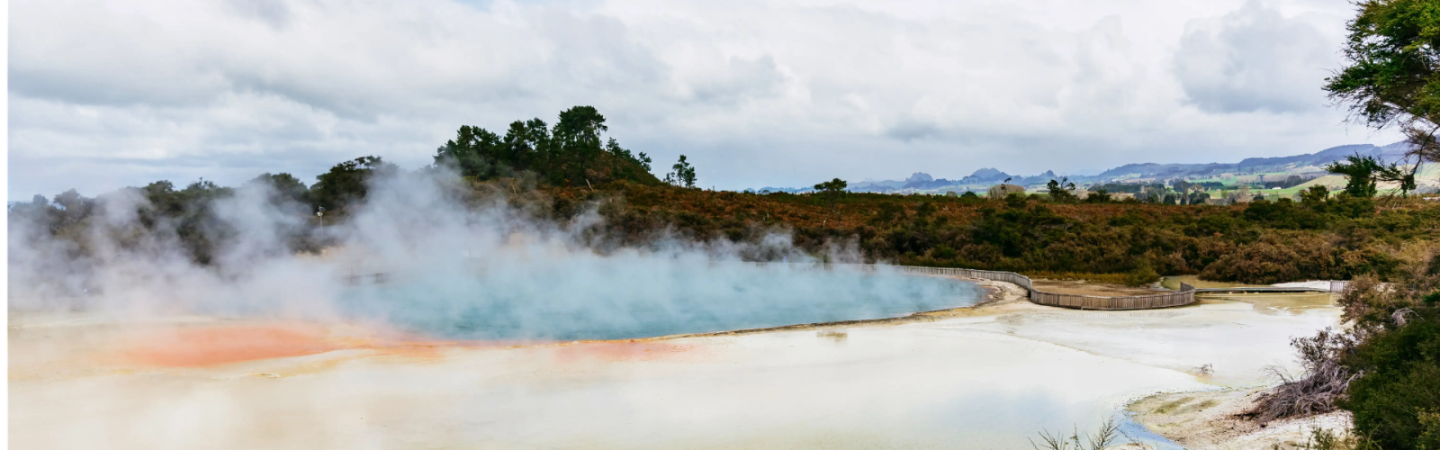 Rotorua Distilling Co.