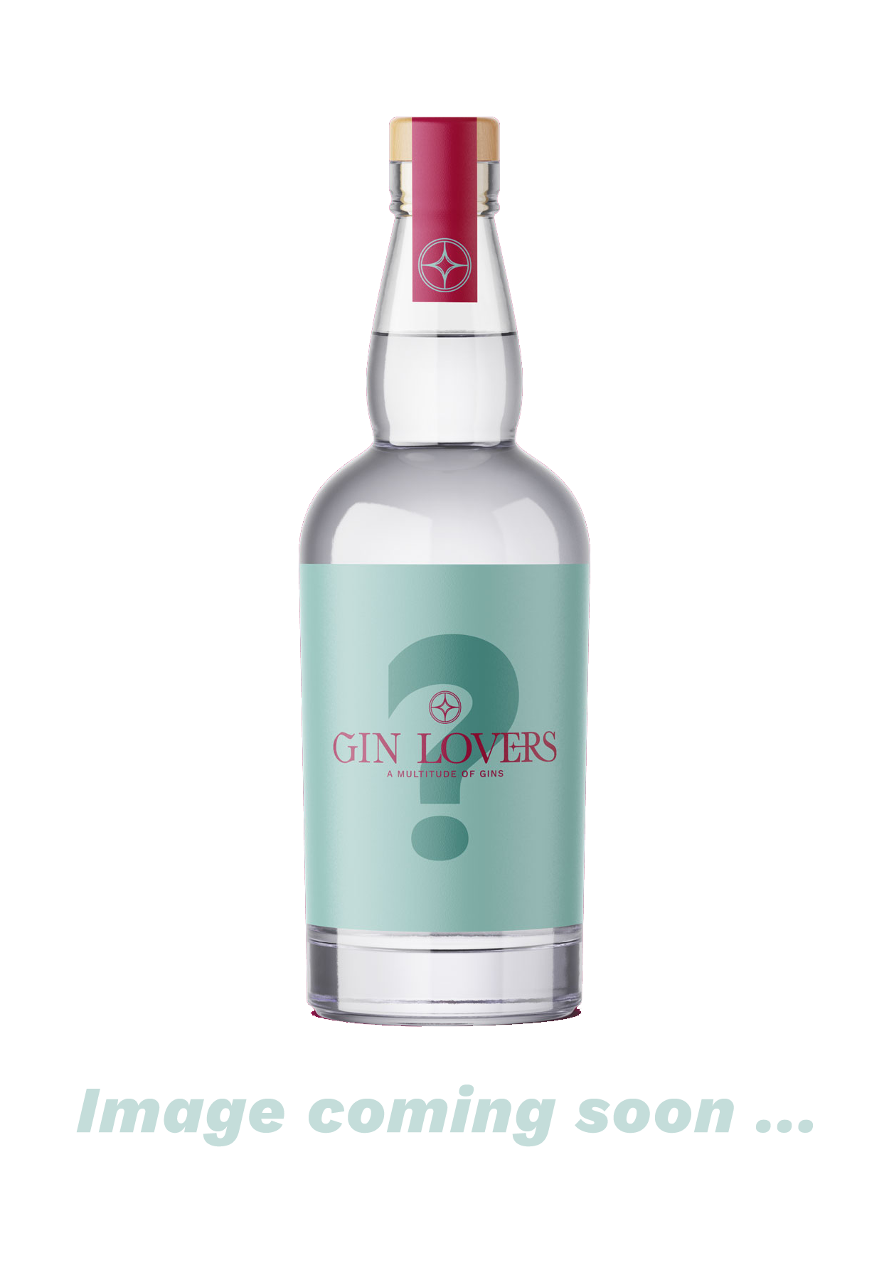 The Source G&T 